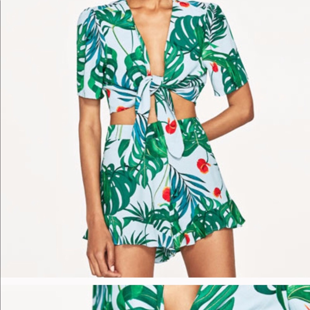 Top and short set of leaves.